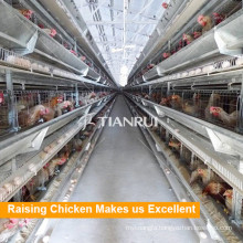 High Quality Tianrui Design Morden Chicken Layer Farm Equipment